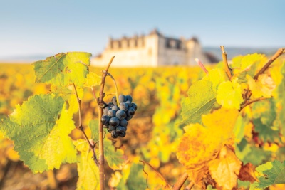 Bourgogne / Burgundsko